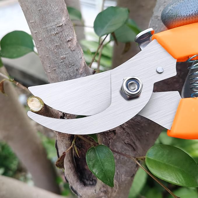 Flower Scissors, Flower Shears High Strength Steel Sharp, Ergonomic Handle Pruning Shears for Gardening, Lightweight Garden Scissors, 1-inch Cut Capacity Rust Resistant for Plants Bonsai-Orange
