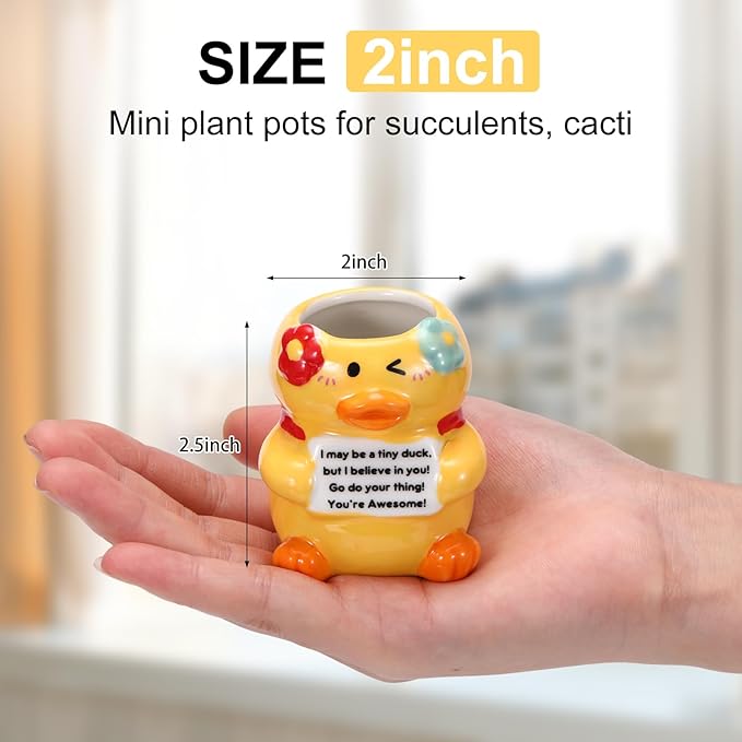 Roshtia 6 Pack 2.5 Inch Duck Ceramic Succulent Planter Pots with Drainage Hole, Mini Cute Flower Pots Container for Home Office Garden Decoration Emotional Support Buddies Christmas Housewarming Gifts