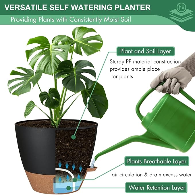 montresor 2 Pack 8 inch Plant Pots, PP Plastic Self Watering Plant Pot with Drainage and Tray for Indoor Outdoor Plants, Water Level Window & Reservoir Flower Pots Decorative Planter (Black)