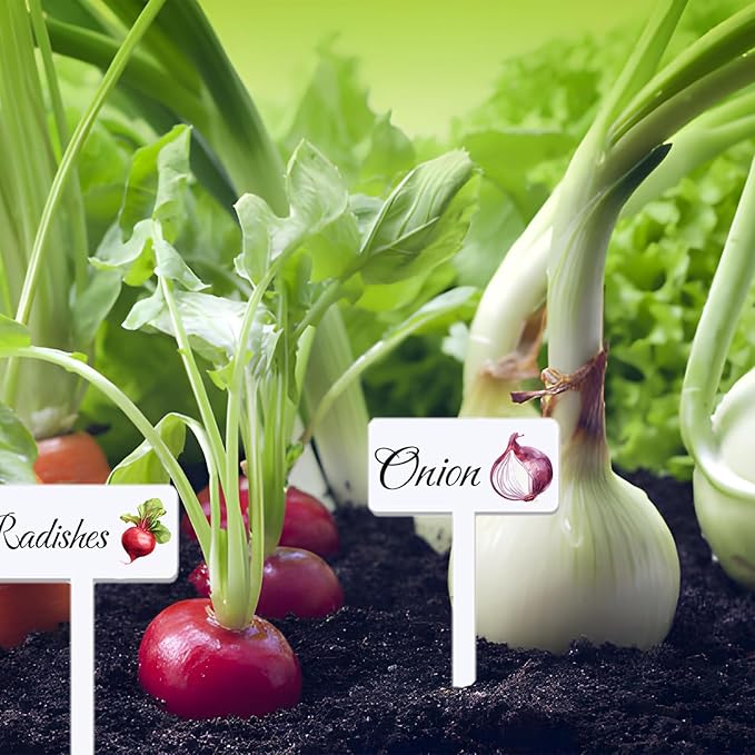 20pc Garden Signs - 20 Styles, Waterproof, Reusable Plant Stakes with Names for Vegetables and Indoor/Outdoor Decoration
