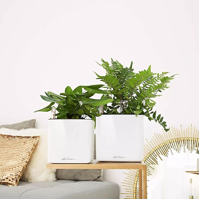 Lechuza Cube Glossy 16 Cream White High Gloss, Self-Watering Indoor Small Plant Pot, H6.3 L6.7 W6.7 in