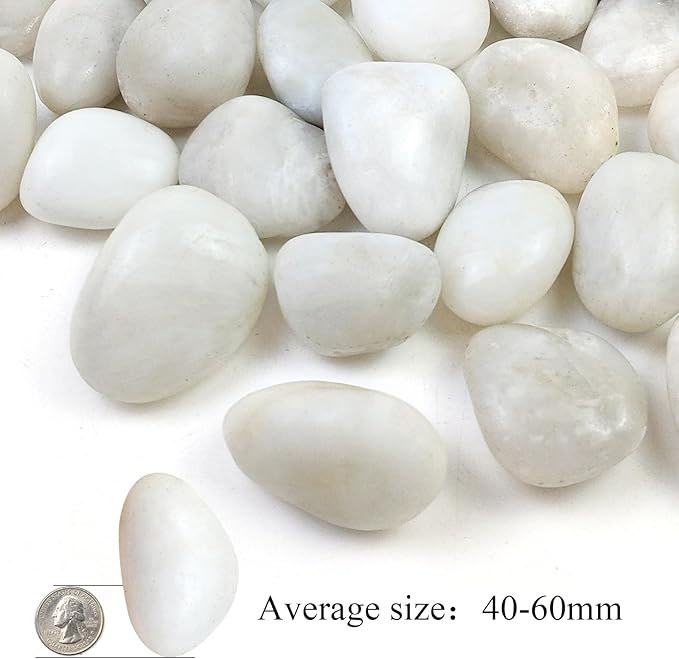 40LB White River Rocks - 2-3 inch High Polished Decorative Pebbles, Stones for Landscaping, Natural River Rocks for Outdoor Décor, Plants,Vase Filler,Fish Tank