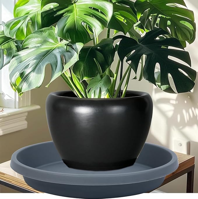 Plastic Plant Saucers for Garden 12 Inch 5 Pack Reusable Drip Trays for Outdoor Flower Pots