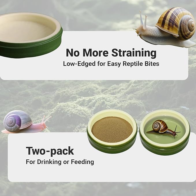 2 Pack Snail Water and Food Bowl，atural Design Food Bowl for Pet Snails, Garden Snails Pet Land Snail Terrarium Supplies