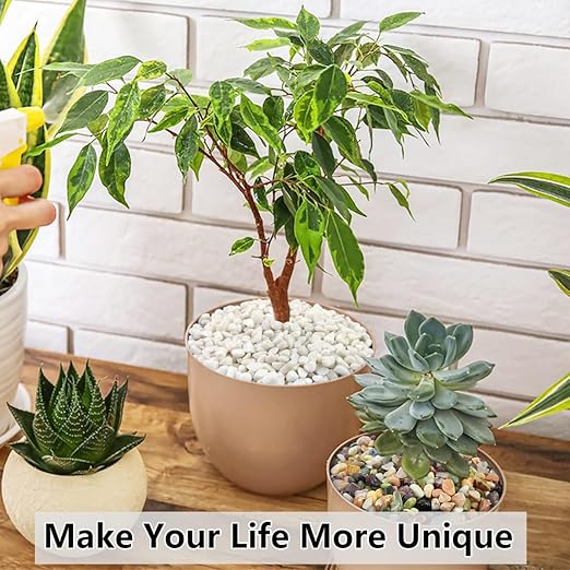 10LB Succulent and Cactus Gravel Pebbles, 3/8 Inch Natural Decorative Polished Stones, River Rocks for Plants, Vases, Aquariums, Terrarium and Outdoor Gardening, White