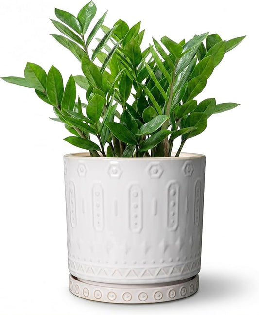 8 Inch Plant Pot, Ceramic Planter for Indoor Plants Outdoor, Round Planter with Drainage Hole and Tray, Boho Flower Pot, Decorative Pots for Plants, Home Decor, Plant Lover Gifts, White
