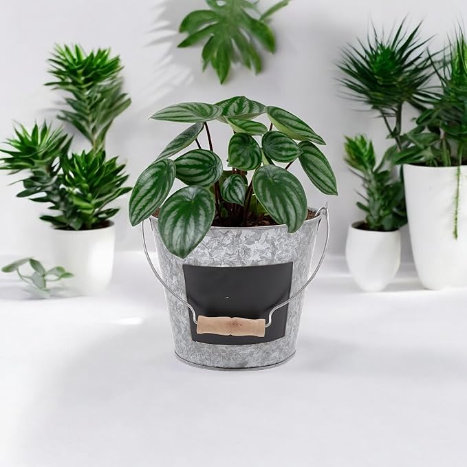 Hosley Set of 2 Metal Pail with Chalkboard and Plastic Liner 7" Dia x 6" H. Ideal Gift for Floral Arrangements Wedding House Warming Floral Planter DIY Craft Home Office Party Garden Patio