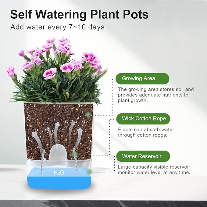 Self Watering Pots for Indoor Plants: African Violet Pots Planter with Visible Reservoir Self Watering Planter for Herb, House Plant Planting