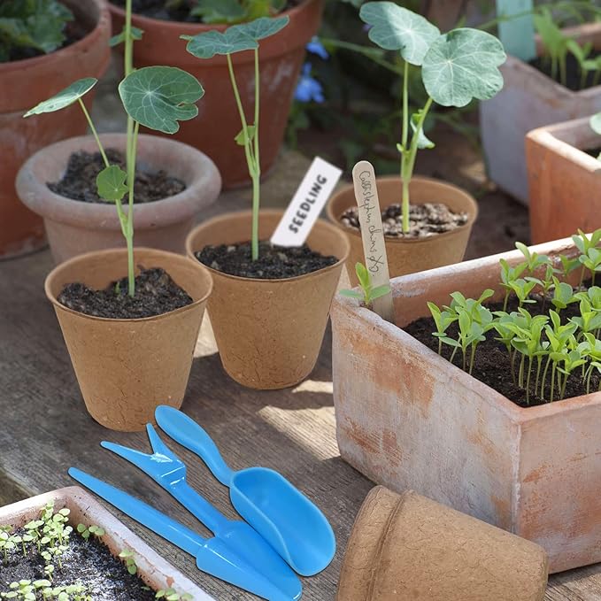 3T GROUP 100 Pack 3.15 Inch Mini Pot for Plants,Small Compostable Planting Pots,Biodegradable Disposable Flower Pots for Vegetables,Fruit with 100 Labels,Tool (100pcs)