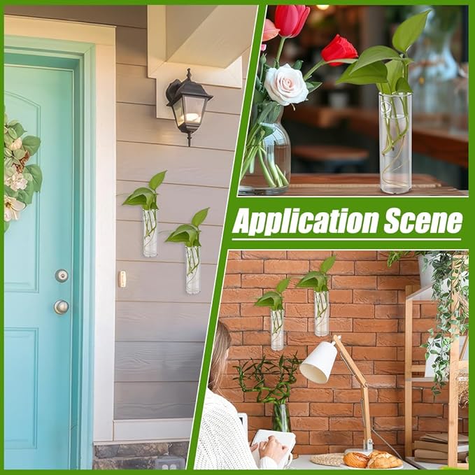 8 Sets Glass Planters, 5.9 in H x 1.87 in D Propagation Vases Tabletop Propagation Vase Tabletop Plant Decor for Growing Plants Garden Home Office Decor