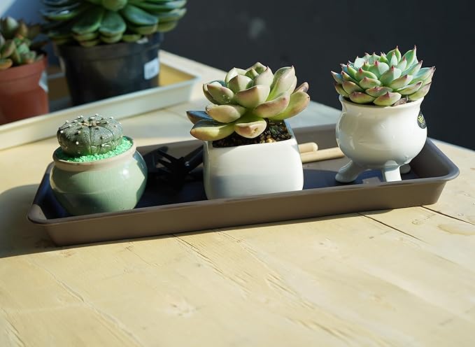 2 Pack of Plastic Plant Tray Saucer Rectangular, Plant Trays Saucers for Indoors Outdoor, Plant Water Drip Tray for Flower Pot Planter, Windowsill Plant Tray (6.5 X 13 Inch, Brown)