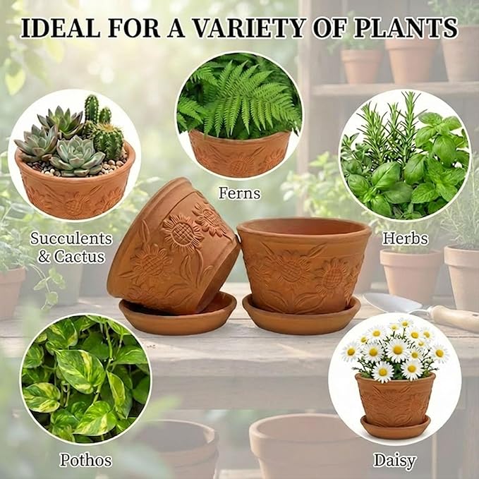 2 Pack Terracotta Plant Pots with Saucers, Boho Clay Flower Pots with Drainage, Lightweight Breathable Shallow Planters for Succulents, Cactus, Herbs & Indoor Outdoor Plants, Sunflower Embossed Design