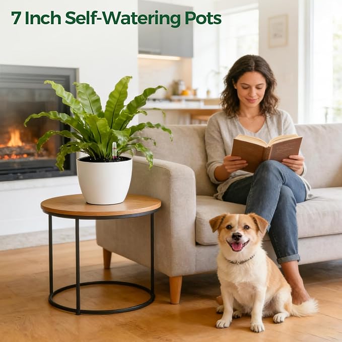 T4U Self Watering Pots for Indoor Plants, 7 Inch Self Watering Planters with Water Level Indicator, Bottom Watering African Violet Pots for Beginners & Busy Plant Owners, BPA-Free (2 Pack, White)