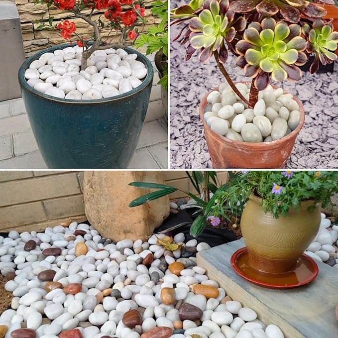 5LB White River Rocks - 2-3 inch High Polished Decorative Pebbles, Stones for Landscaping, Natural River Rocks for Outdoor Décor, Plants,Vase Filler,Fish Tank