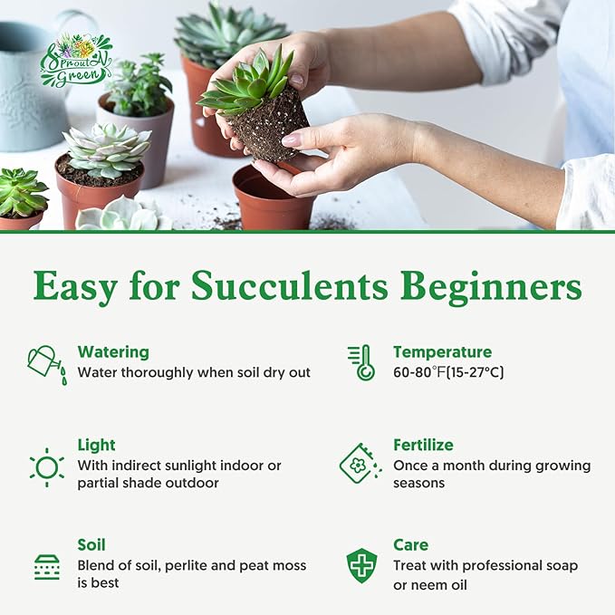 Sprout N Green Live Cactus Plants, 10 Pack Assorted Real Cacti Potted in 2" Starter Pot with Soil Mix, Rare Small Indoor House Plants for Home Garden Wedding Decor Party Favor