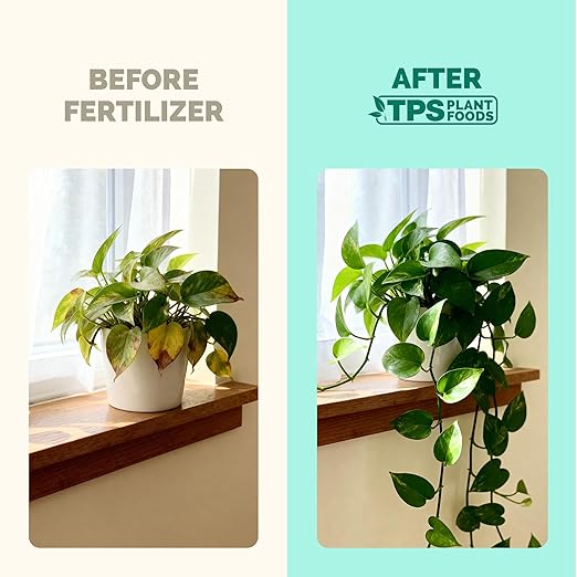 TPS NUTRIENTS Indoor Plant Food for Houseplants, Liquid Fertilizer, 32 oz (1 Quart)