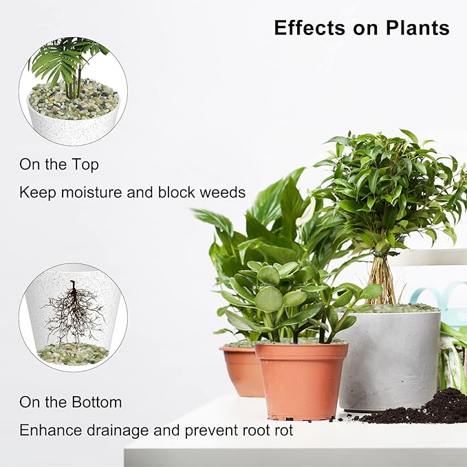 GASPRO 10 Pound Pebbles for Indoor Plants, 3/8 Inch Decorative Pebbles for Bamboo, Vase, Succulents, Garden, Landscaping, Highly Polished and Smooth Surface, Jade (Pack of 2)