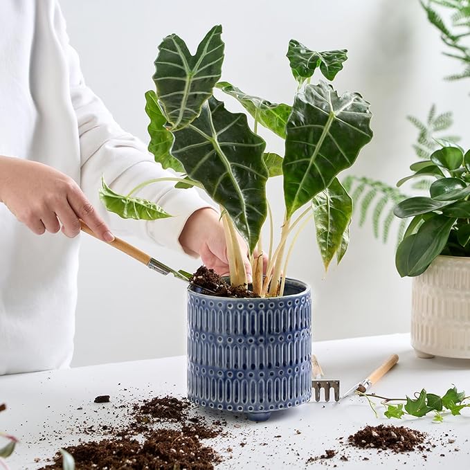 5 Inch Ceramic Planters for Indoor Plants, Blue Cactus Snake Plant Pots with Drainage, Unique Design Round Flower Pot for Home Decoration