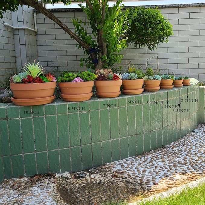 Yishang 6 Inch Terracotta Shallow Planters with Saucer/Tray,Ceramic Flower Clay Plant Pots with Drainage Hole,Unglazed Cactus/succlent Plant Containers Indoor Garden Bonsai Pots