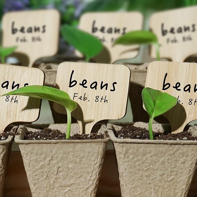 OBTANIM 75 Pack Bamboo T-Type Plant Labels with A Marker Pen, Garden Markers Sign Plant Tags for Seedling Potted Herbs Flowers Vegetables