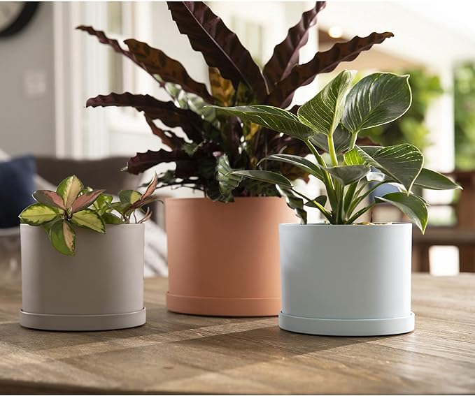 Bloem Mathers 6" Pebble Stone Round Modern Resin Garden Planter Pot with Drainage Holes and Removable Saucer Tray Included