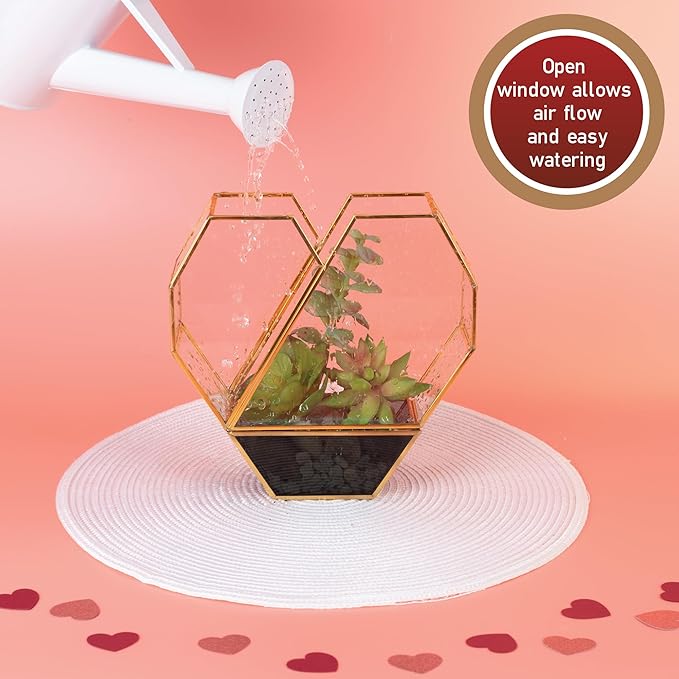 D'Eco Glass Valentine Heart Centerpiece (8x8x2.5)- Tabletop Planter Terrarium for Home Decor & Wedding Letterbox- Fill w/Succulents, Candy, Chocolates, Vday Decorations Valentine's Day Gift for Her