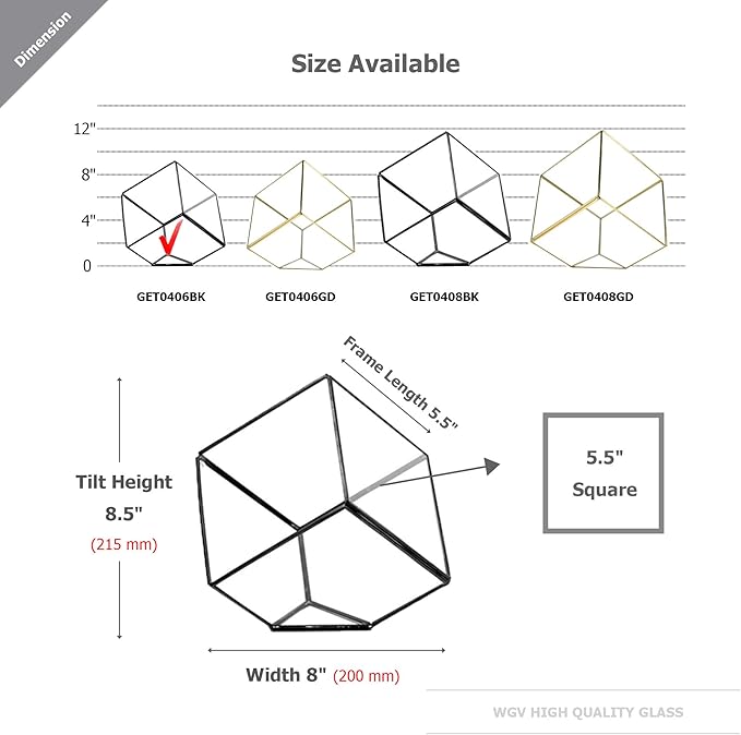 WGV Geometric Planter Terrarium, Width 8" Height 8.5" Clear Glass Black Frame DIY Succulent air Plant Miniature Fairy Garden Windowsill Tabletop Decor, Tilted Cube 1 Piece