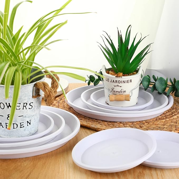 Patelai 10 Pack Plant Saucer, 4/6/8 Inch Plant Drip Trays for Pots, Flower Pot Saucers, Planter Drip Tray for Home Garden Indoor and Outdoor Planter Water Drainage Protection