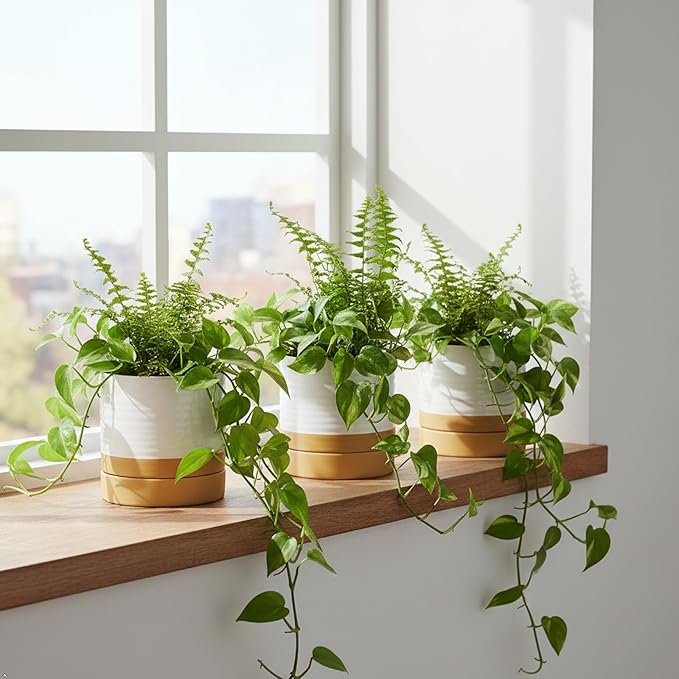 HASENSE 4.6 Inch Plant Pots, Ceramic Flower Pots for Indoor Plants, Small White Planter with Drainage Hole and Saucer, Cute Mini Windowsill Tabletop Decor, Set of 4