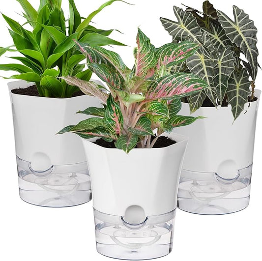 KIMCHOMERSE Self Watering Plant Pots, 6 Inch Orchid Pots, 3 Pack Flowers Pot Indoor Planter Pots with Tray for Spider Plant, Orchid, African Violet -White