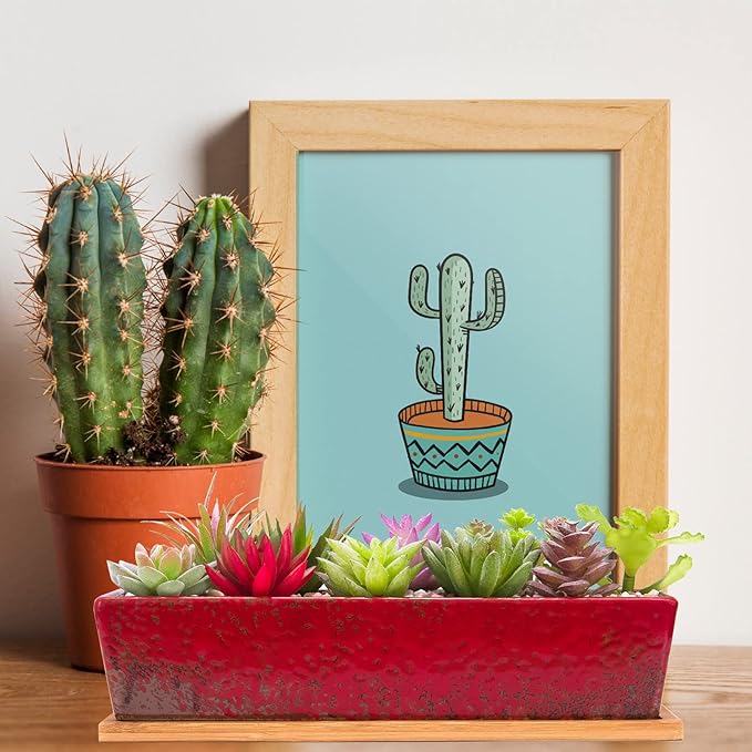 ARTKETTY Succulent Pots - 12.1 Inch Large Succulent Planters with Drainage Tray, Long Rectangle Ceramic Pot for Indoor Cactus/Succulent Plants Shallow Bonsai Window Box for Home Garden Decor