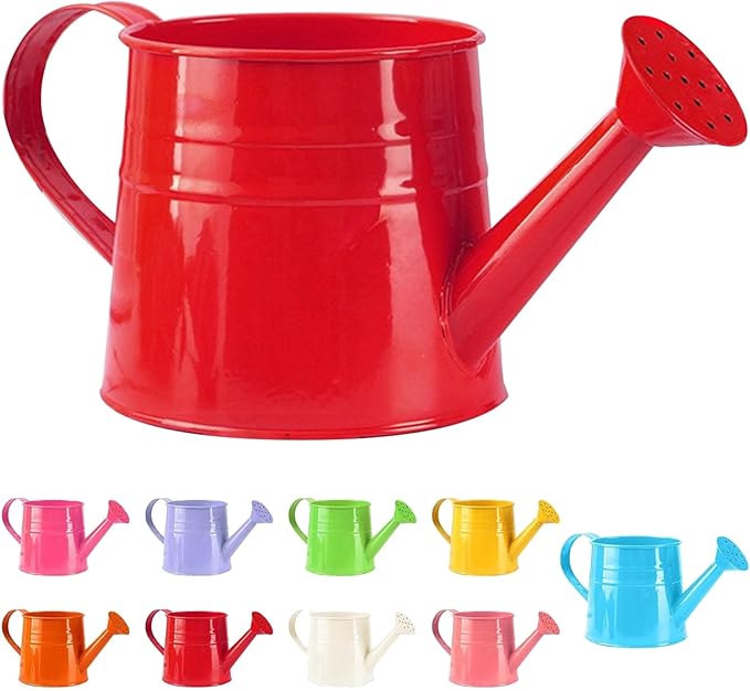 Watering Can Gardening Tool Accessories, Sprinkling Can 1L Metal Flower Garden Watering Can for Outdoor Indoor Plants Lawn Garden (red)