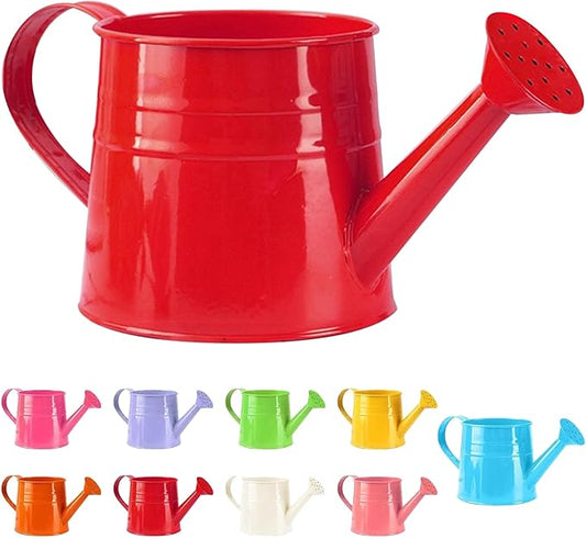 Watering Can Gardening Tool Accessories, Sprinkling Can 1L Metal Flower Garden Watering Can for Outdoor Indoor Plants Lawn Garden (red)