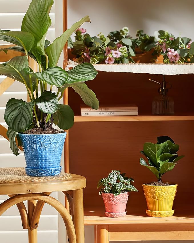 Ceramic Plant Pots, 4.9 Inch Flower Pots with Drainage Hole & Saucer, Colorful Planter Pots for Indoor Plants, Small Pots for Succulent, Catus, Home Decor, Set of 4, Assorted Colors