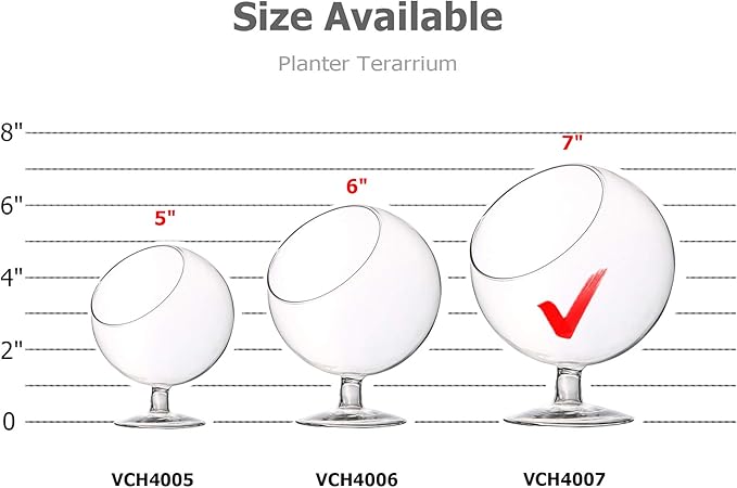 WGV Planter Terrarium with Stand, Ball Diameter 6" Height 7", Clear Glass Floral Container Vase, DIY Succulents Outdoor Garden Home Office Decor Slant Cut Orb, 1 Piece