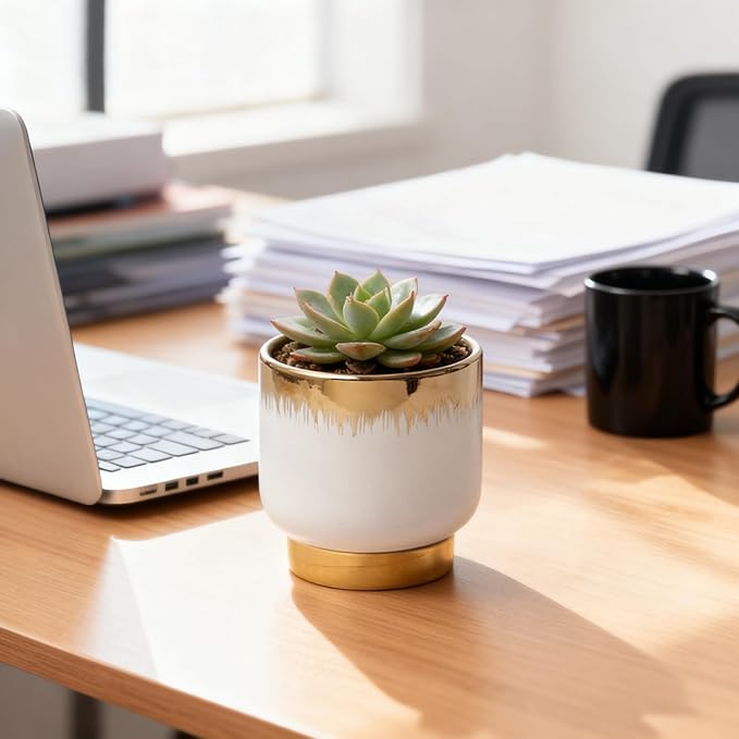 White Ceramic Planters, Gold Flower Pots for Indoor Plants with Drainage Holes, Modern Round Planter with Drainage Holes - Plant Not Included 4.33 X4.33 Inch