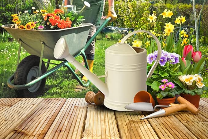 Plastic Watering Can for Indoor Plants Outdoor Garden Flowers - House Plant Watering Can with Sprinkler Head (1/2 Gallon, Ivory)
