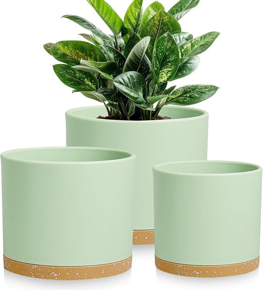 Large Plant Pots Set of 3 – 8", 9", 10" Indoor Flower Pots with Drainage Holes and Saucers, Big Planters for Monstera, Fiddle Leaf Fig, Snake Plant – 5 Colors