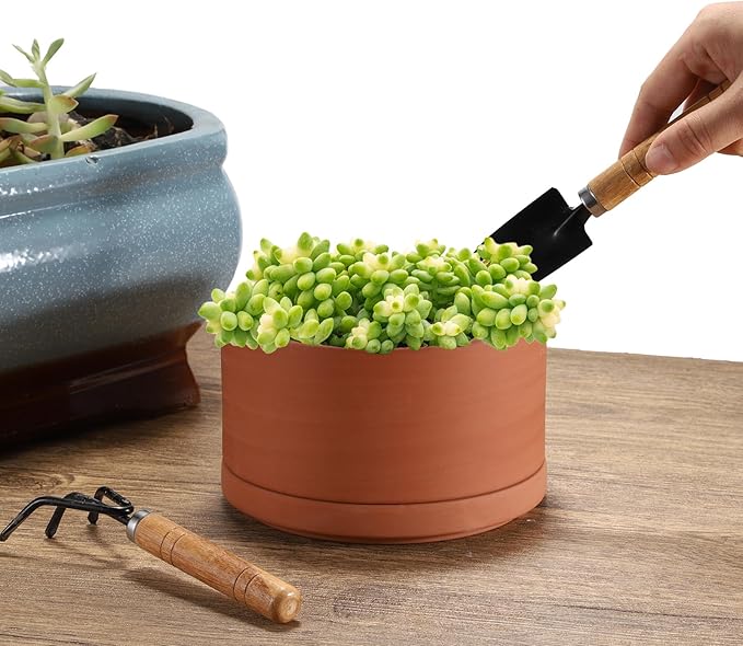 JUXYES 6 Inch Terracotta Shallow Pot with Holes and Saucers, Round Cylinder Succulent Planter Clay Flower Pots for Indoor and Outdoor Use, Decorative Bonsai Succulent for Mini Foliage Plants Orchids