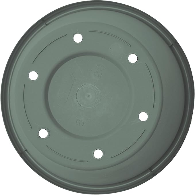 Bloem Terra 4" Diameter Round Basil Resin Planter Pot with Pre-Drilled Drainage Holes for Indoor and Outdoor Gardening