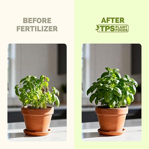 Herb Fertilizer – Liquid Plant Food for All Edible Herbs & Leafy Greens, Indoor & Outdoor, 1 Gallon