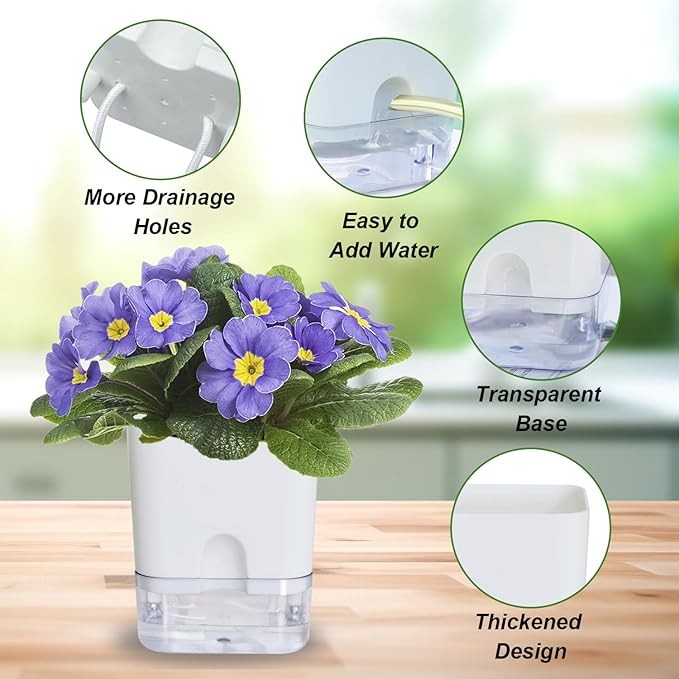 Self Watering Pots for Indoor Plants: African Violet Pots Planter with Visible Reservoir Self Watering Planter for Herb, House Plant Planting