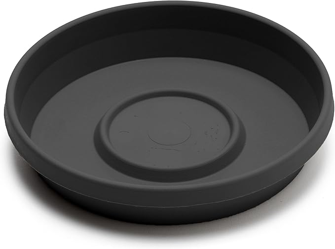 Bloem Terra Resin Saucer Tray: 4.75" Bottom Width - Black - Matte, Durable, Ribbed Bottom, Indoor and Outdoor, Fits 6" Terra Pots