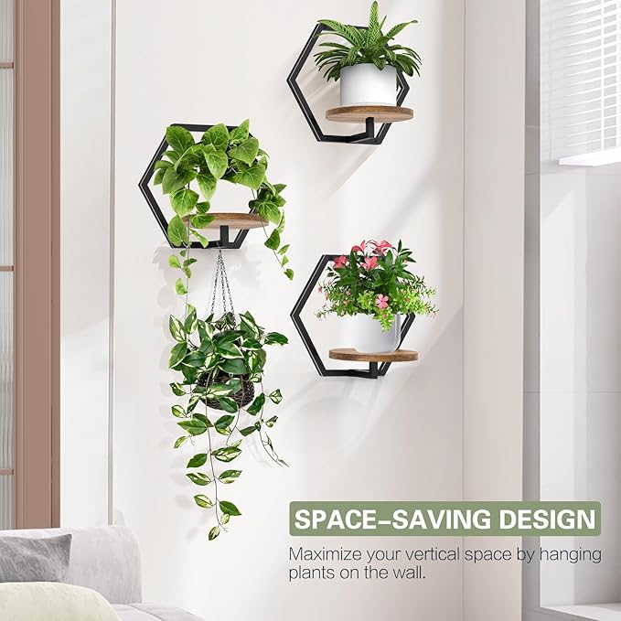 3 Packs Wall Planters for Indoor Plants, 7.9inch Metal Plant Holder Hanger Wall Decor, Mounted Hanging Window Shelves Outdoor Rack (Black Wooden Base)