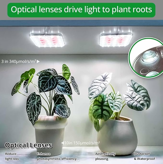 DOMMIA Full Spectrum LED Grow Light for Indoor Plants, 2 Panels 10W with 6/12/16h Timer Dimmable Plant Lights for Flower Veg Plant Growth USB, Netural White, 1-Pack