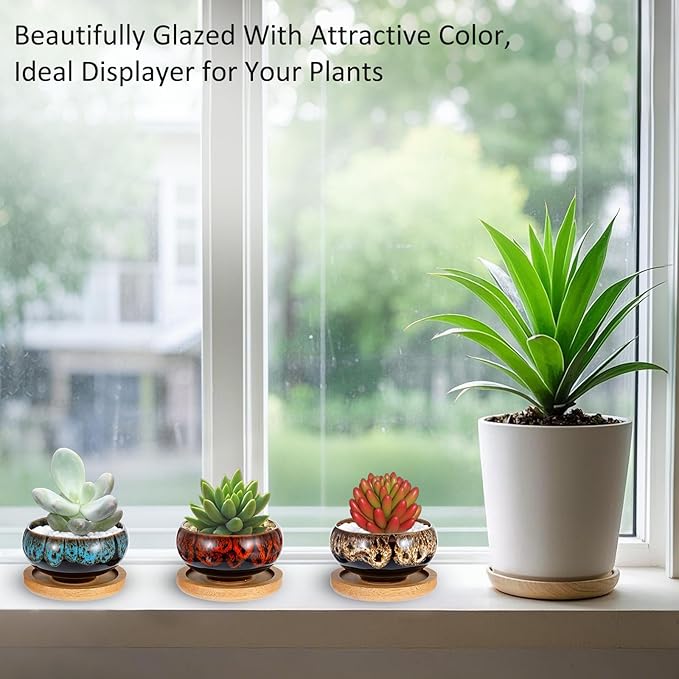 12 Pcs Ceramic Succulent Garden Pots Succulent Small Plant Cactus Planter Ceramic Pot with Drainage Hole and Bamboo Tray Matte Round Container (2.5 Inch)