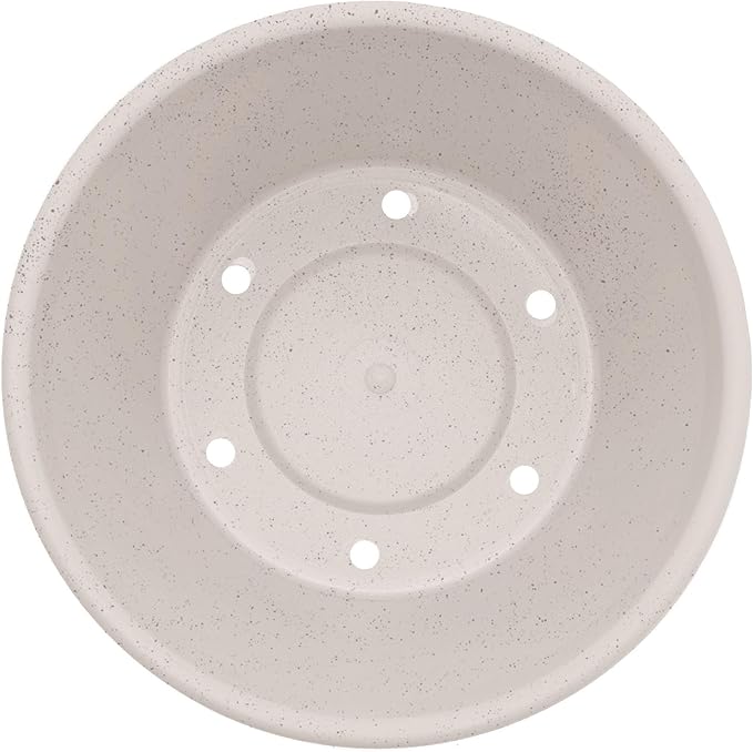 Bloem Terra 6" Diameter Round Vanilla Bean Resin Planter Pot with Drainage Holes for Indoor and Outdoor Gardening