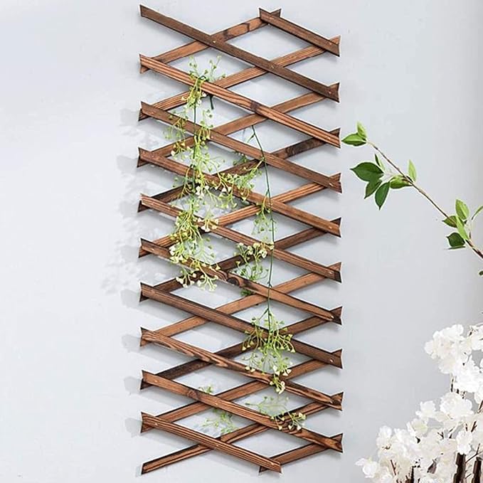 Iceyyyy Wood Lattice Wall Planter - Expandable Hanging Wooden Planter Trellis Frame, Indoor Air Plant Vertical Rack Wall Decor for Room Garden