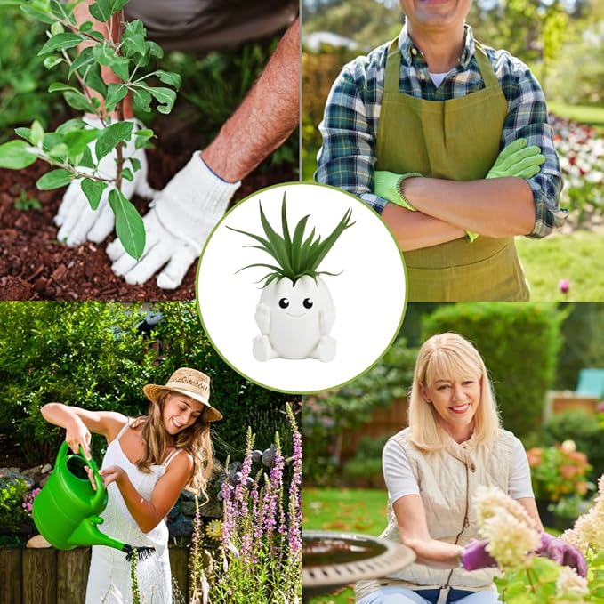 Cute Egg Shell Planter | Unique Dinosaur Tabletop Indoor or Outdoor Planter Pot | Flowers, Succulents, or Vegetable Pot | Made in USA (Cute Egg, Small)