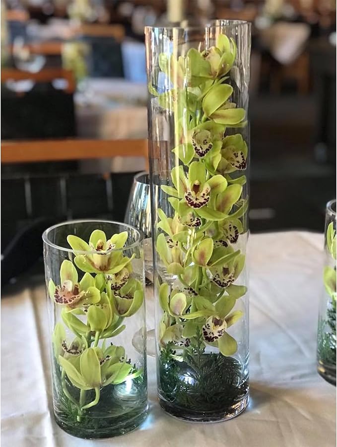 WGVI Quality Thick Weighted Tall Clear Cylinder Glass Vases, 4" W x 16" H, Flower Arrangement Floating Candle Holders Wedding Centerpieces Event Floral Container Home Decor, Bulk Wholesale, 6 Pcs